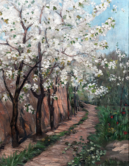 Cherry Blossom