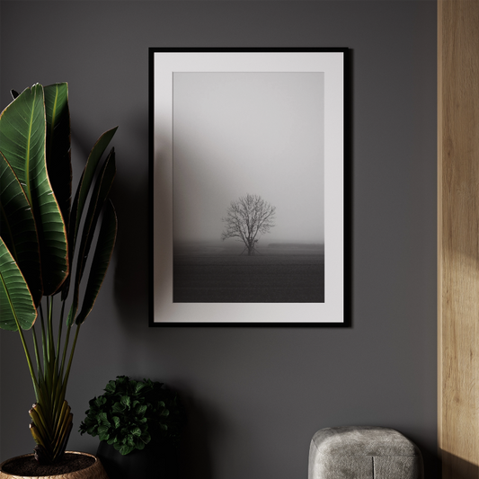 Lone Tree