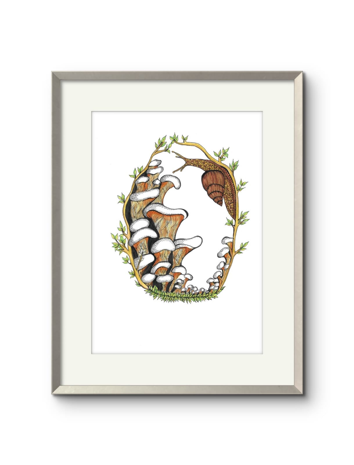 Mushroom & Snail
