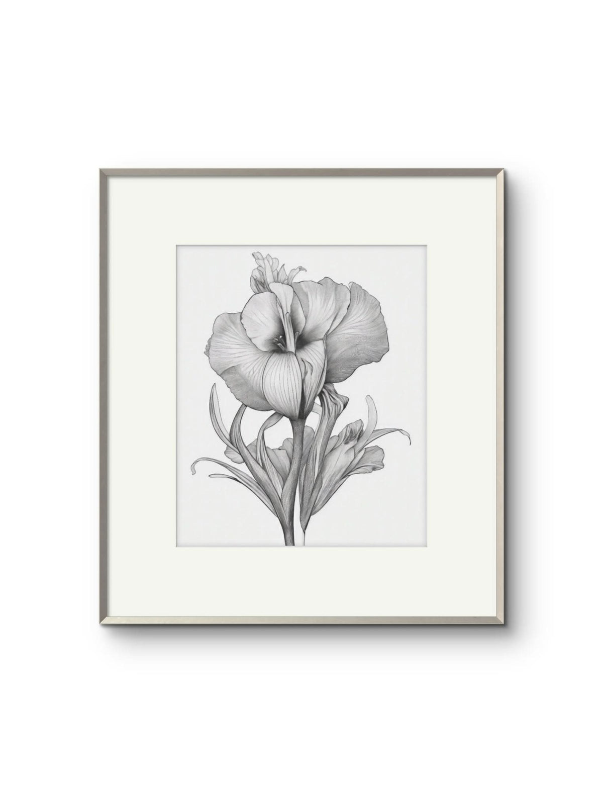 Vintage Illustrated Hibiscus