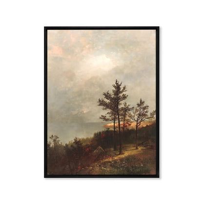 Lone Tree on A Hillock