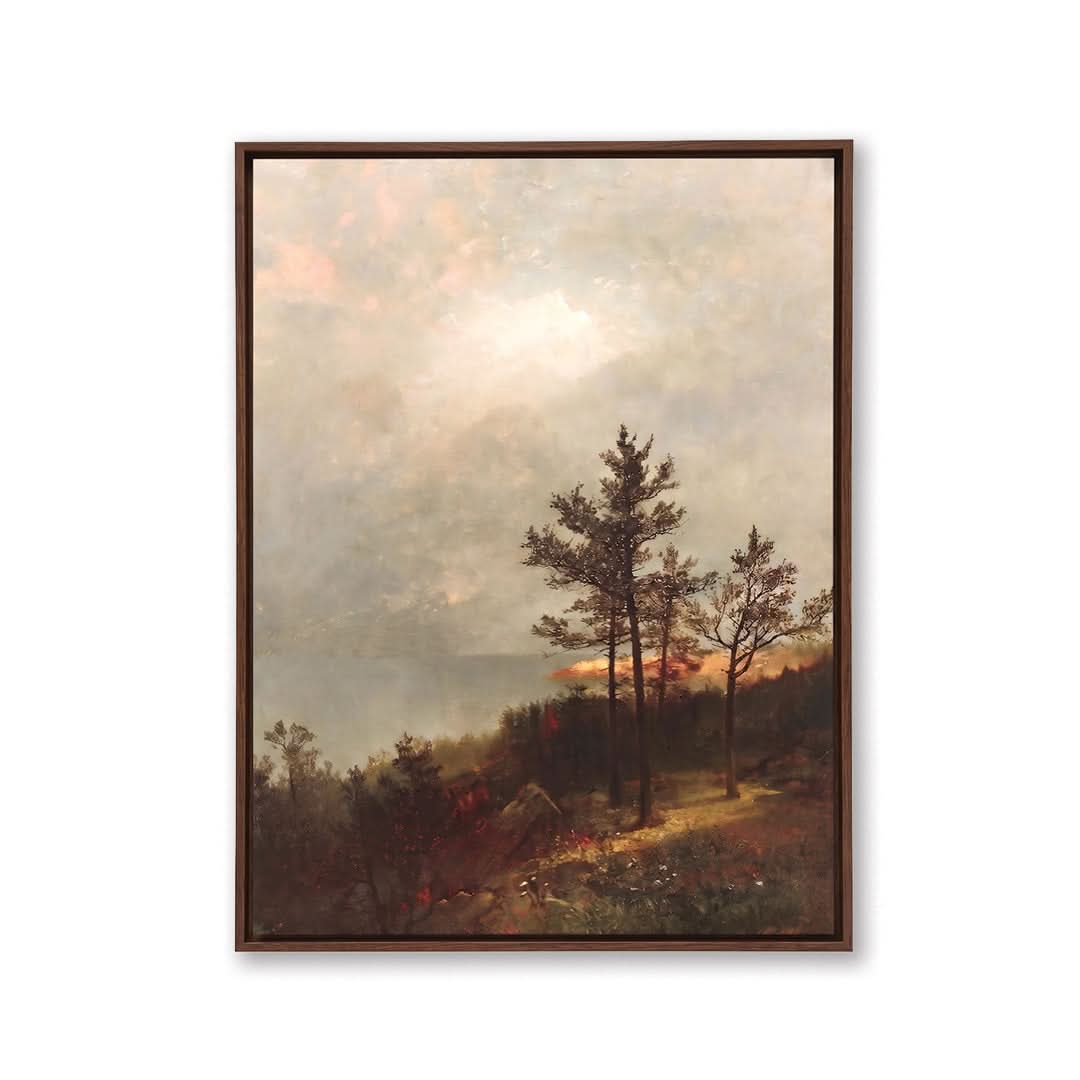 Lone Tree on A Hillock