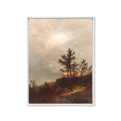 Lone Tree on A Hillock
