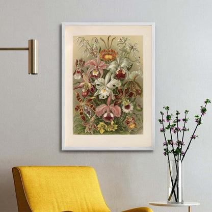 Flowers illustration from Kunstformen der Natur- Ernst Haeckel