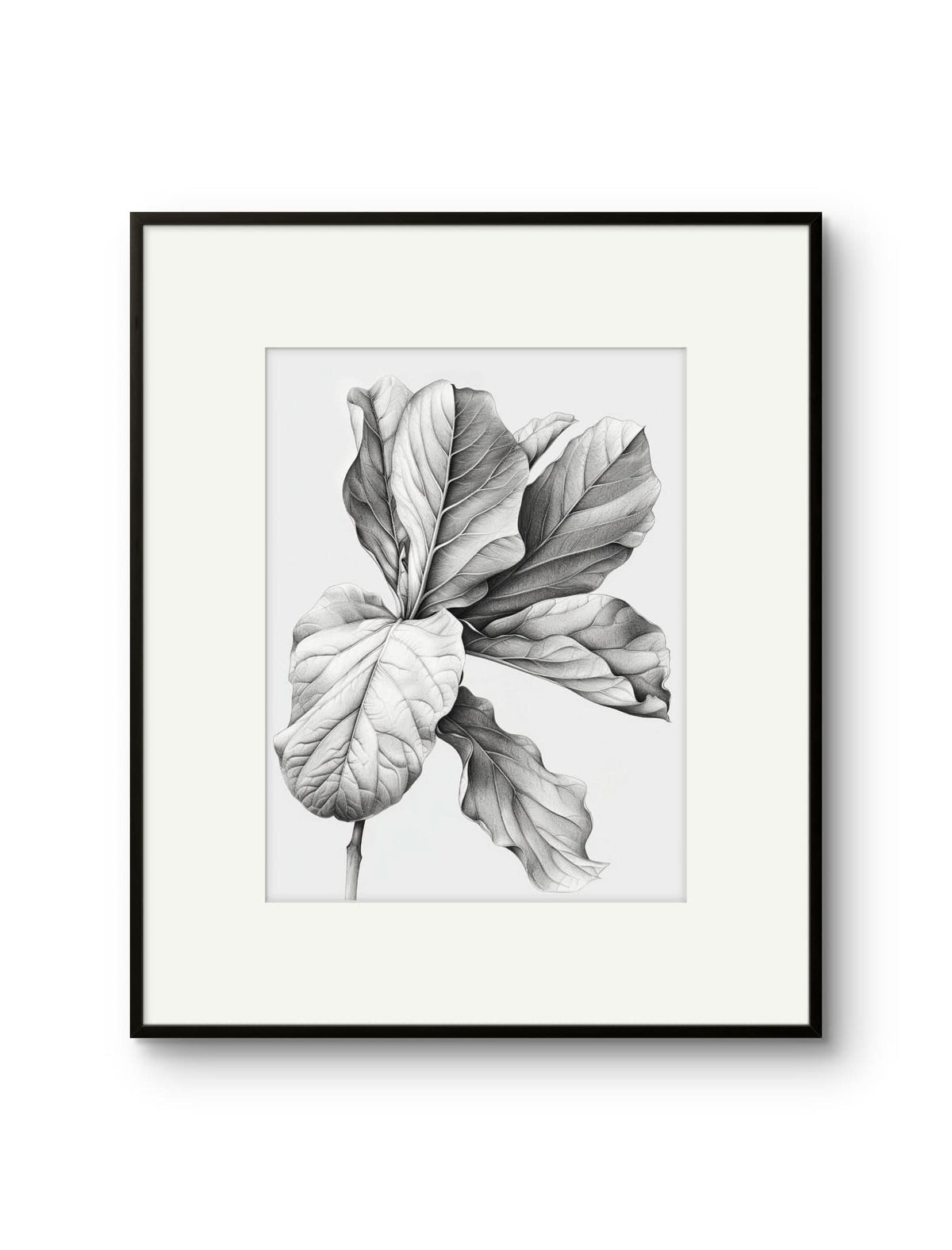 Vintage Illustrated Large Leaves