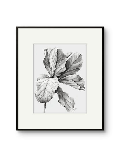 Vintage Illustrated Large Leaves