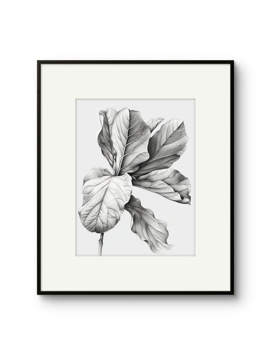 Vintage Illustrated Large Leaves