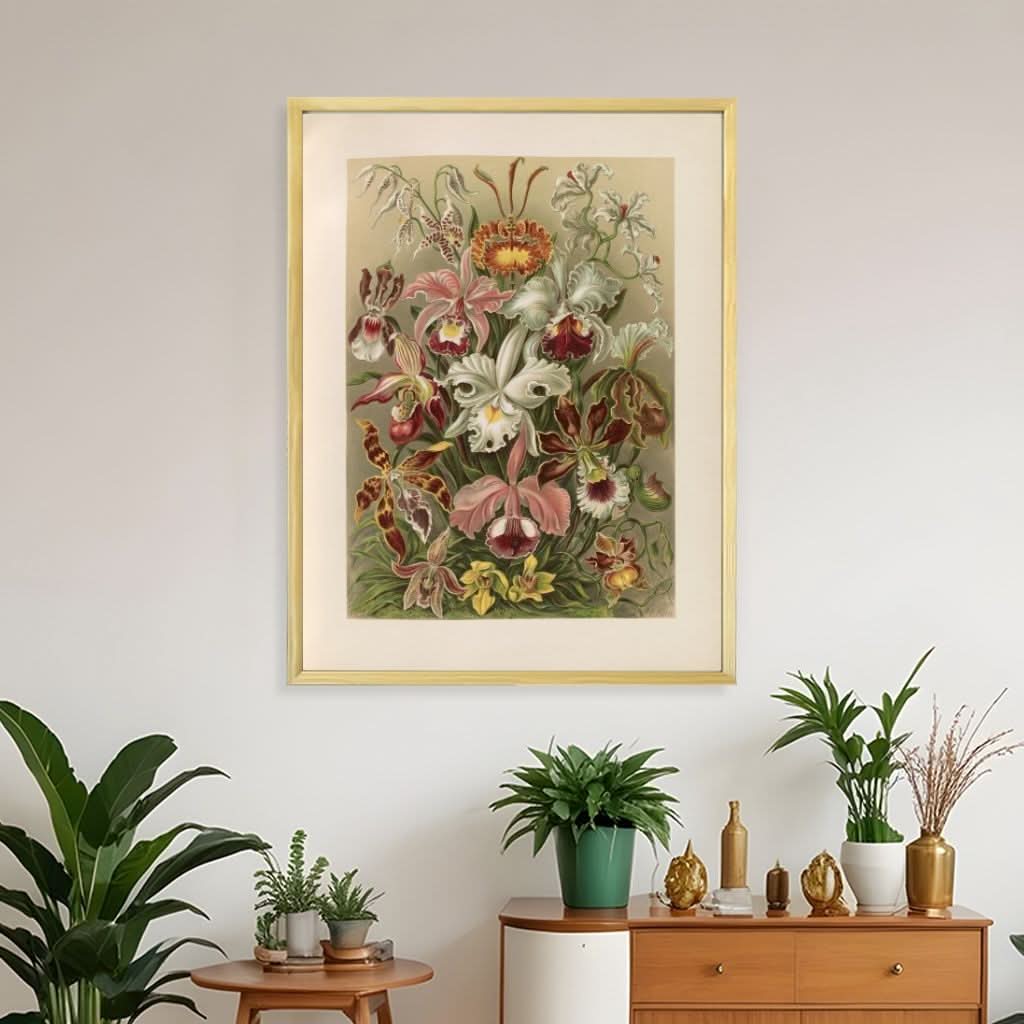 Flowers illustration from Kunstformen der Natur- Ernst Haeckel