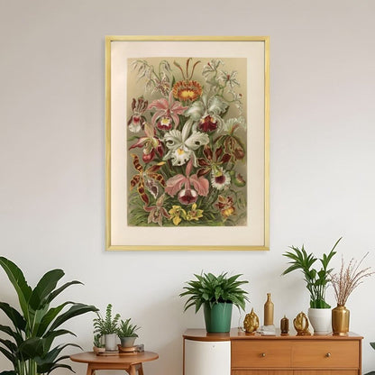 Flowers illustration from Kunstformen der Natur- Ernst Haeckel
