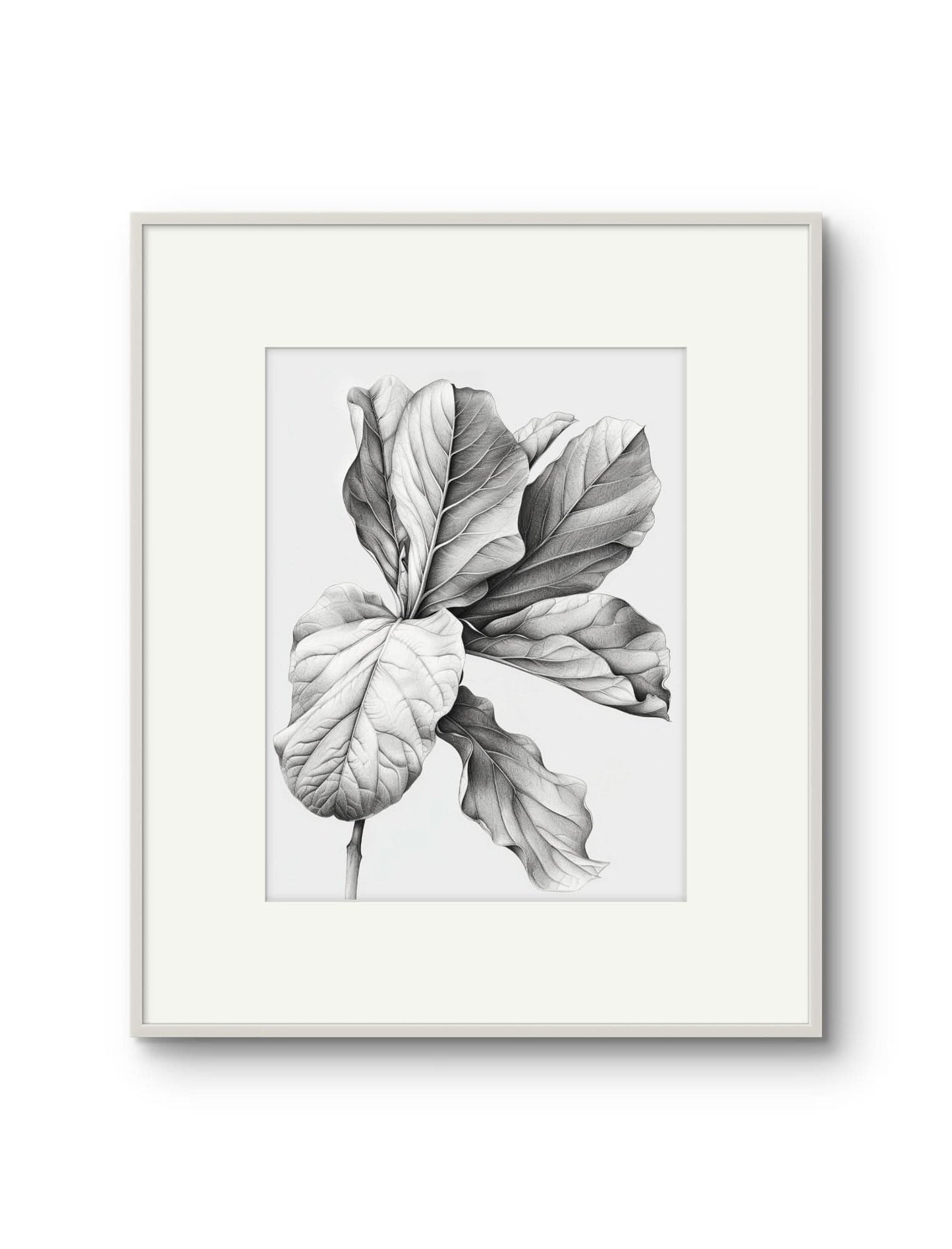 Vintage Illustrated Large Leaves