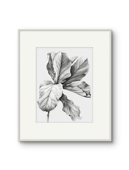Vintage Illustrated Large Leaves
