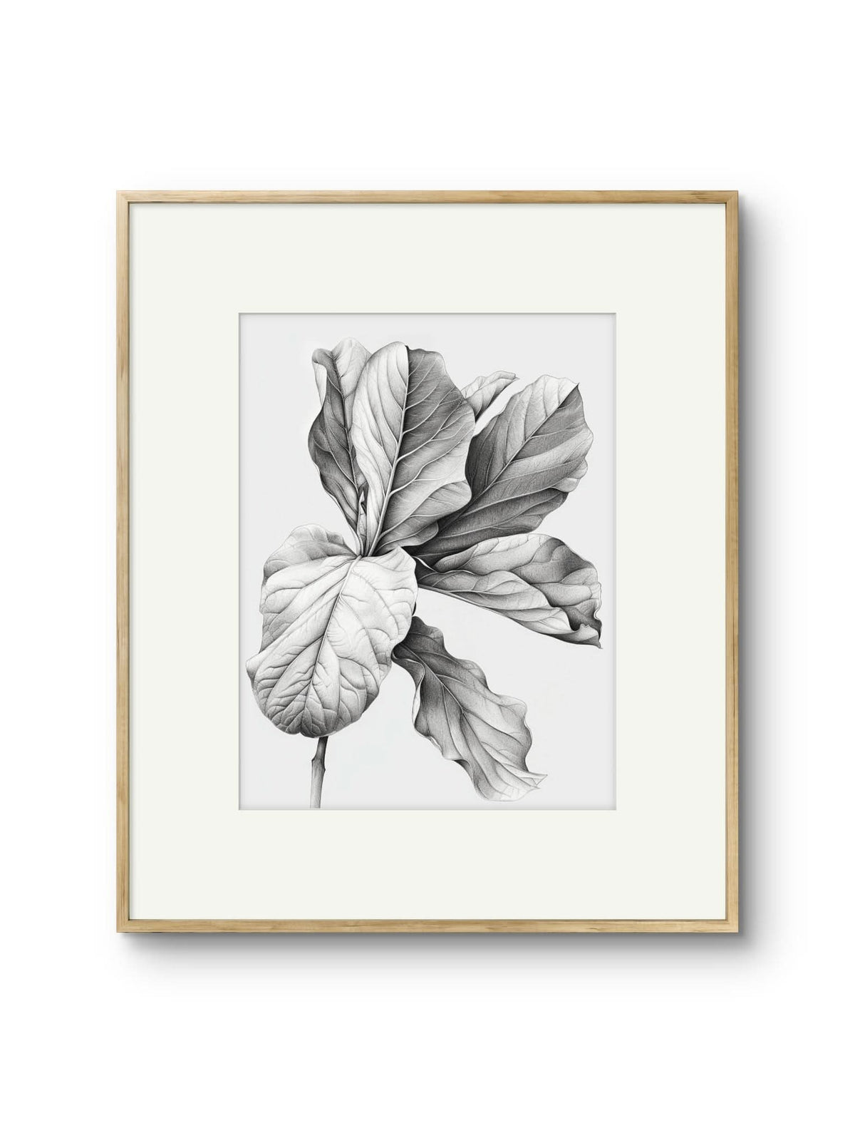 Vintage Illustrated Large Leaves