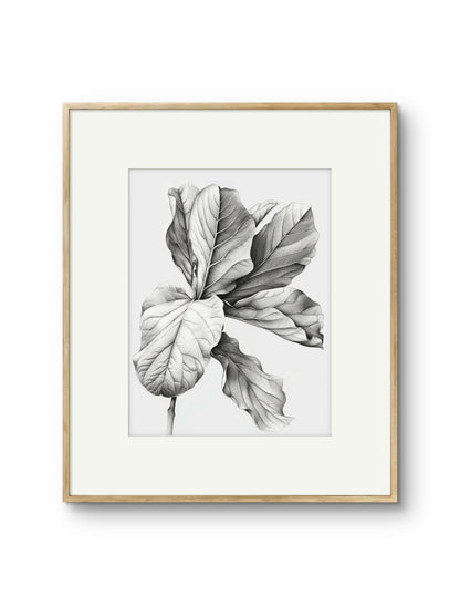 Vintage Illustrated Large Leaves