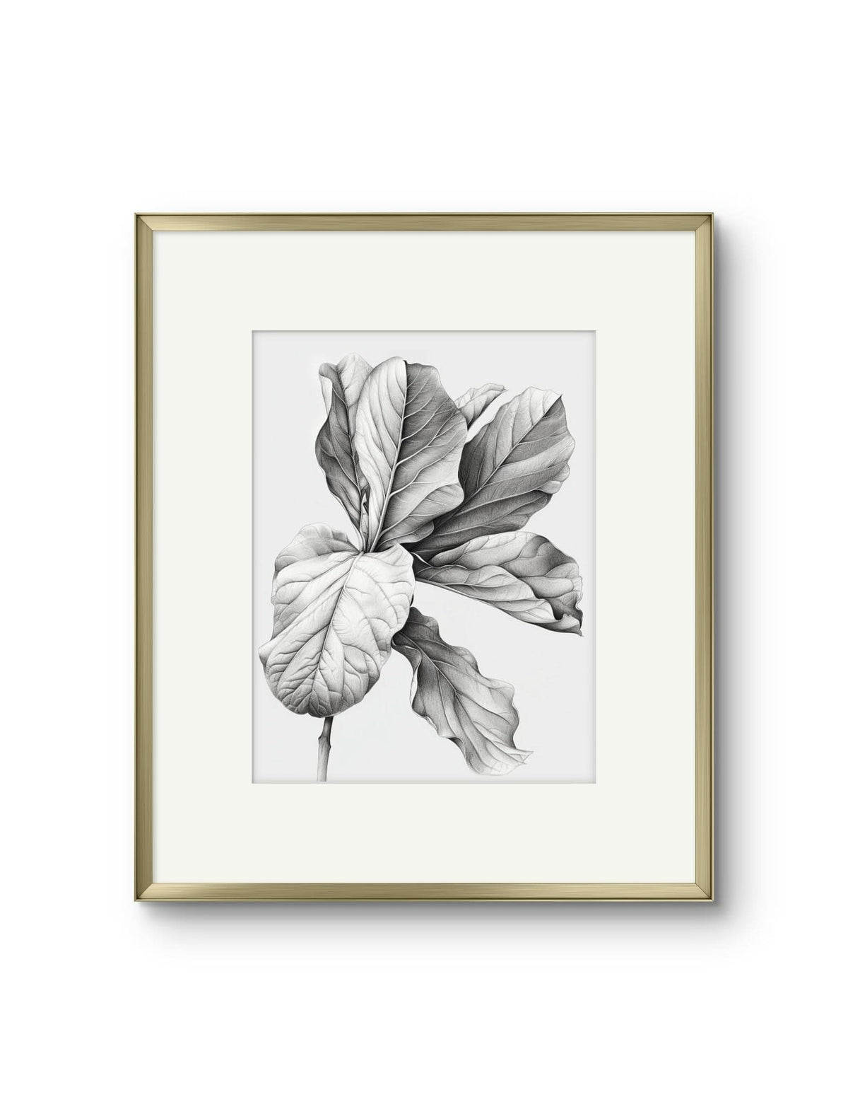 Vintage Illustrated Large Leaves