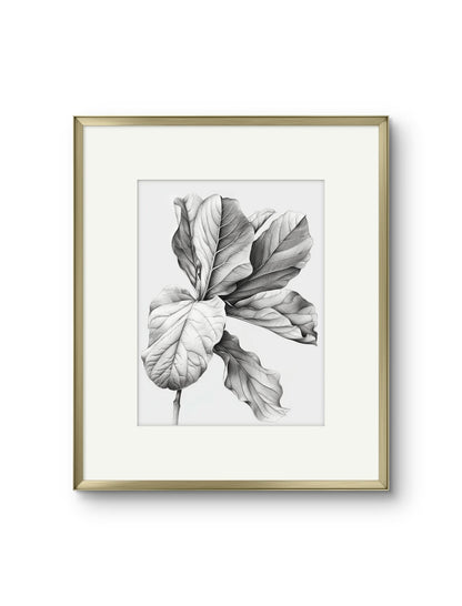 Vintage Illustrated Large Leaves