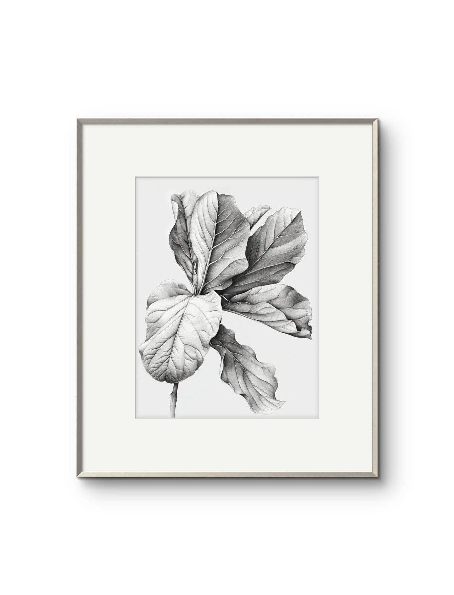 Vintage Illustrated Large Leaves