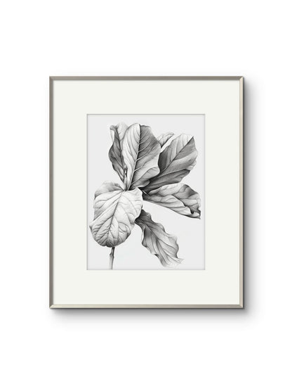 Vintage Illustrated Large Leaves