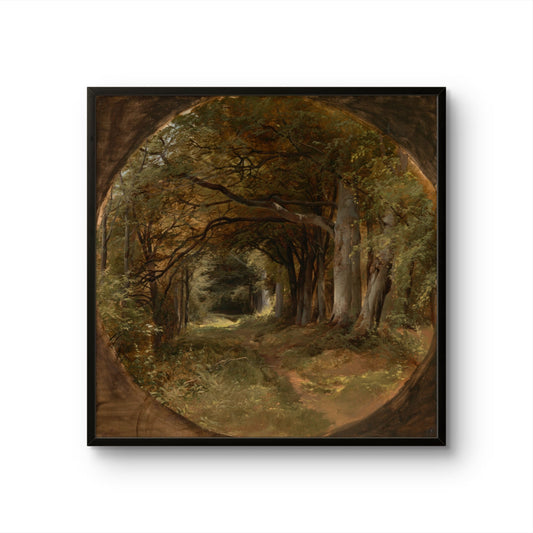 Landscape (Gunton Park, Beech Glade) - John Middleton