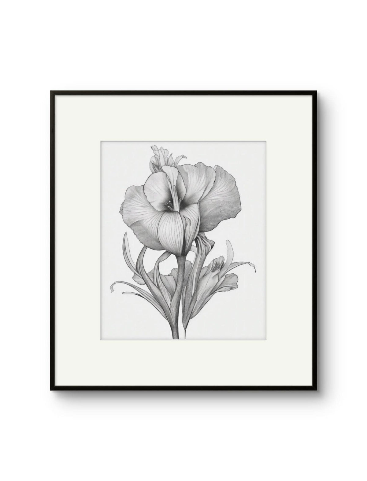 Vintage Illustrated Hibiscus