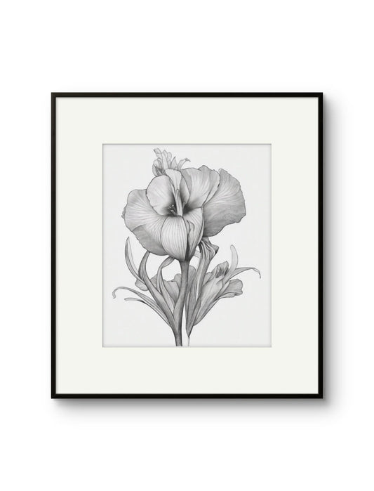 Vintage Illustrated Hibiscus