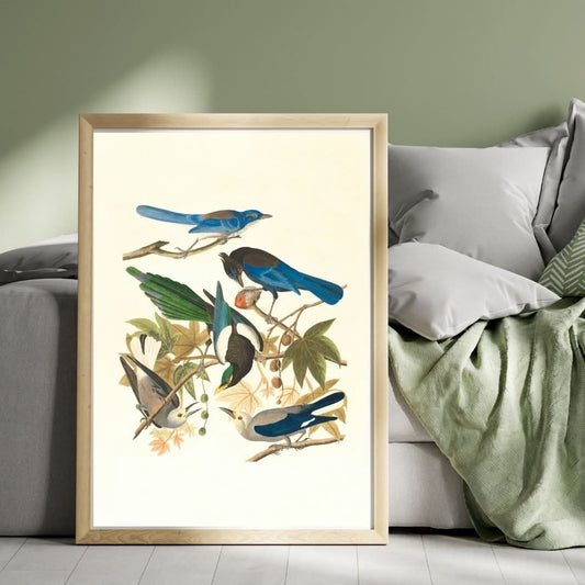 Blue Birdies