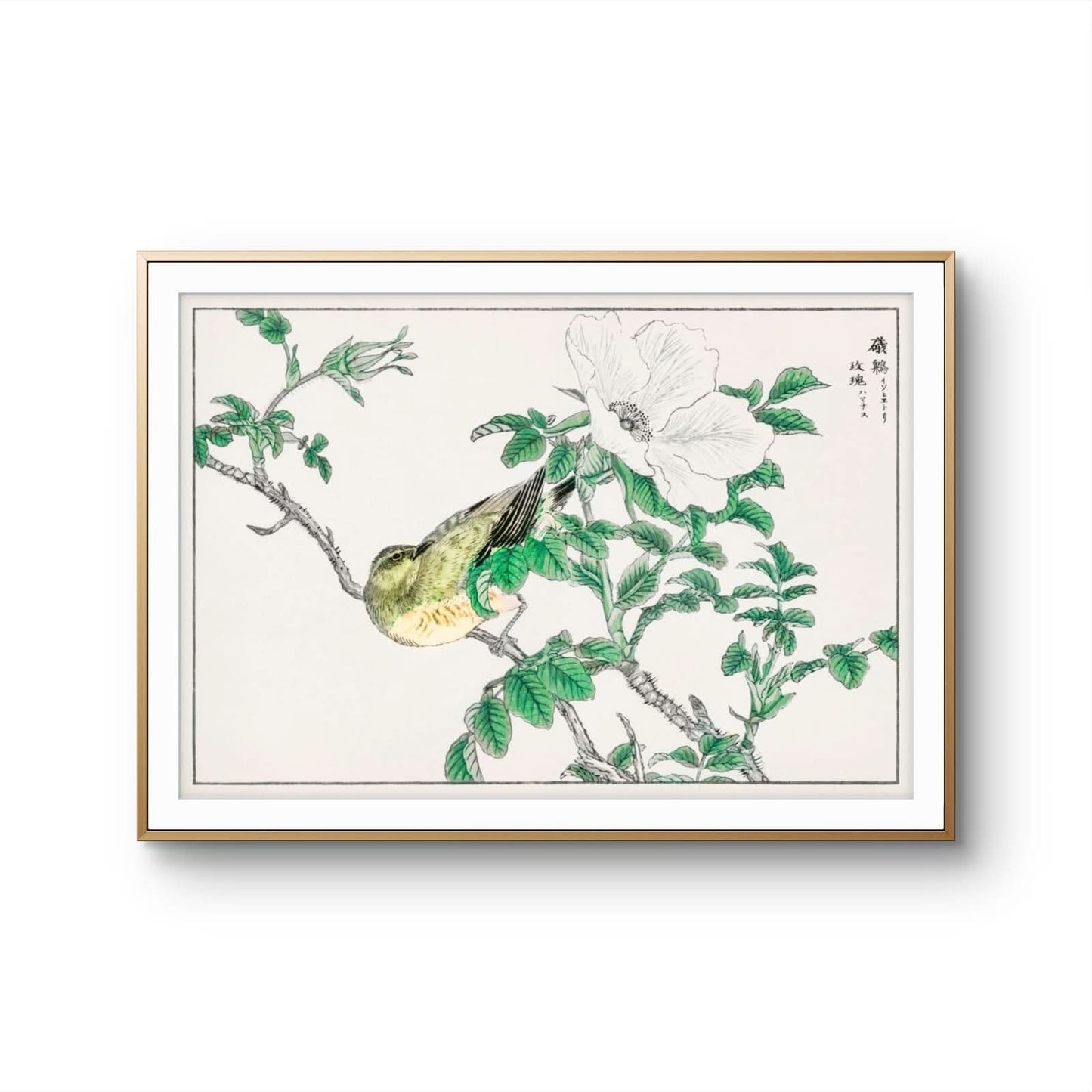 Framed artwork of a bird perched on a branch with leaves and flowers.