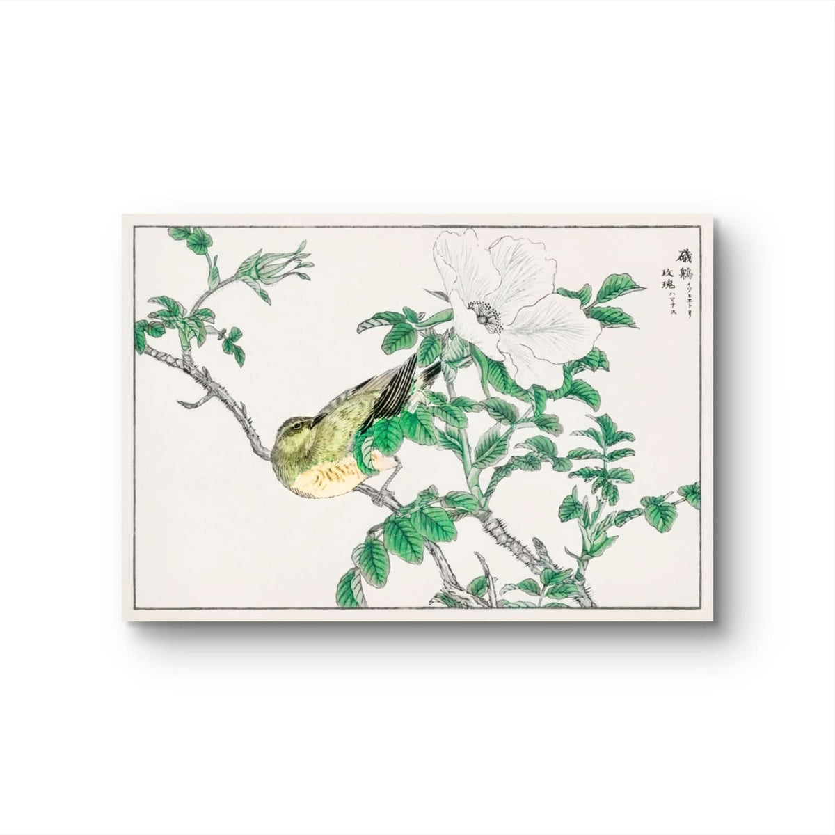 Illustration of a bird on a branch with leaves and flowers on a white background