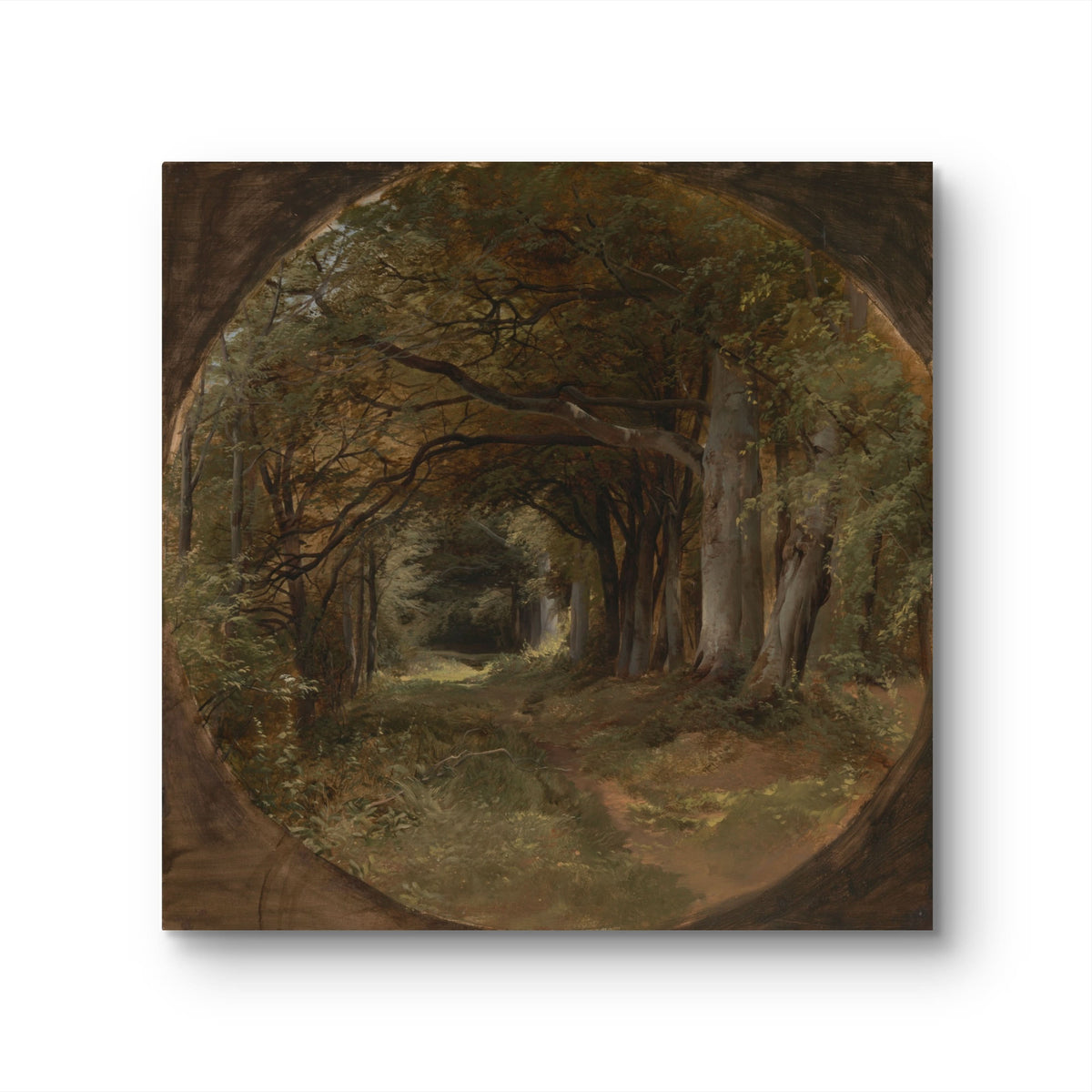 Landscape (Gunton Park, Beech Glade) - John Middleton