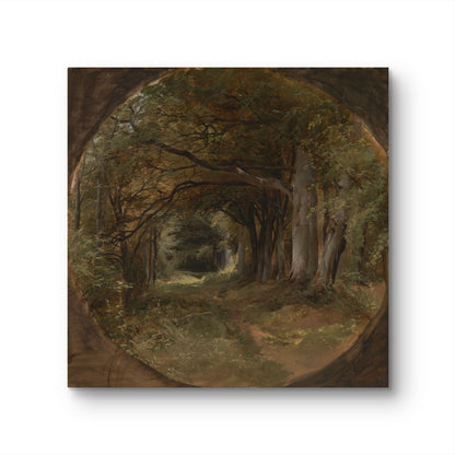 Landscape (Gunton Park, Beech Glade) - John Middleton