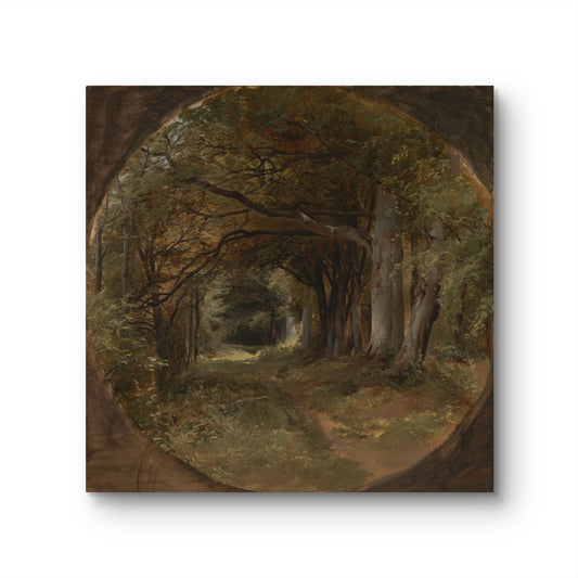 Landscape (Gunton Park, Beech Glade) - John Middleton
