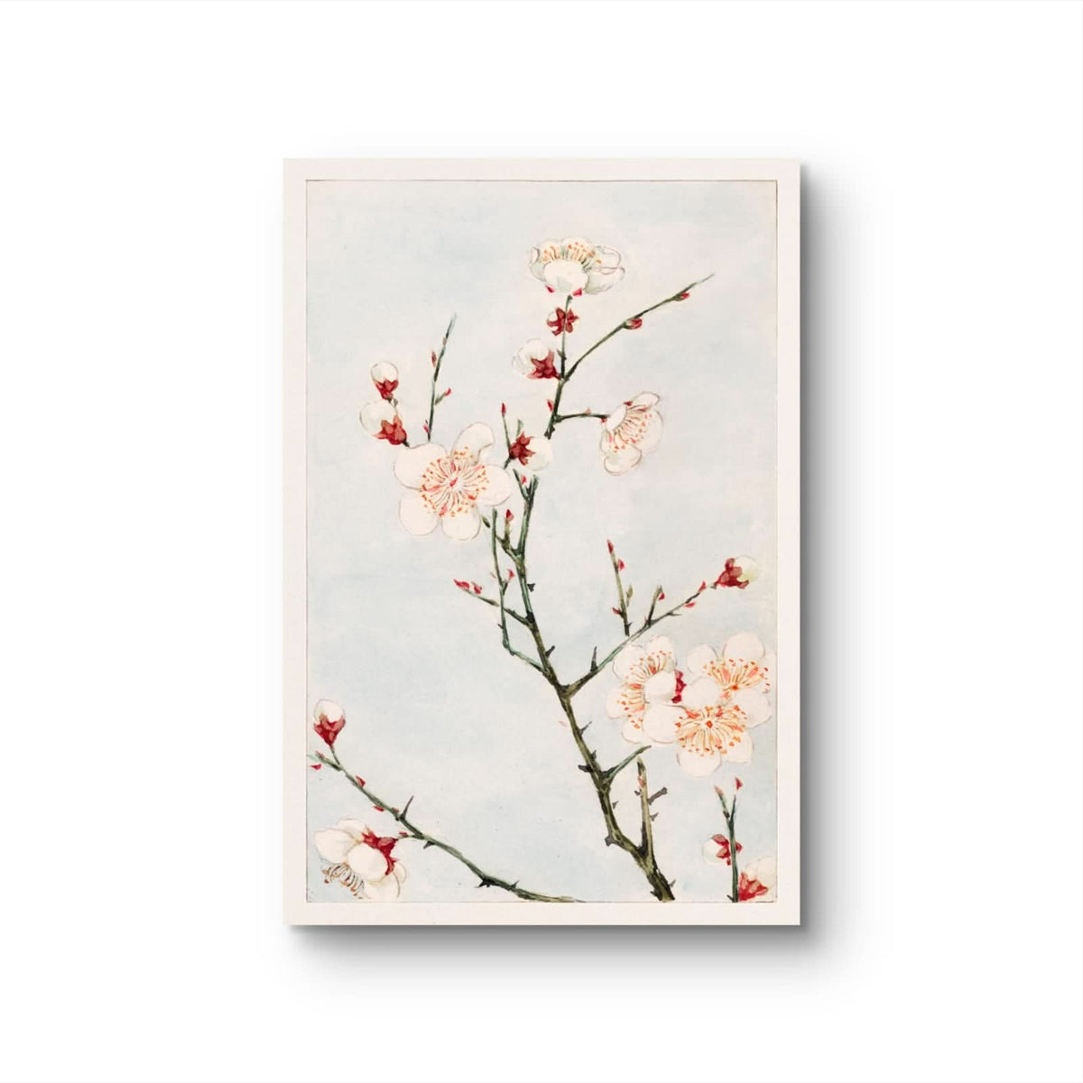 Framed artwork of cherry blossoms on a light background