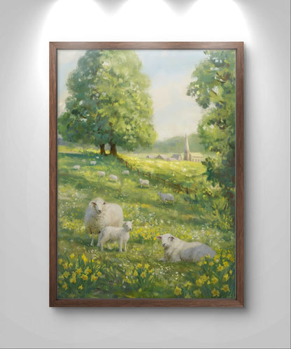 Sheep in a field
