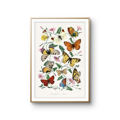 Framed artwork of butterflies and flowers on a white background
