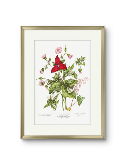 Canadian Flowers -II