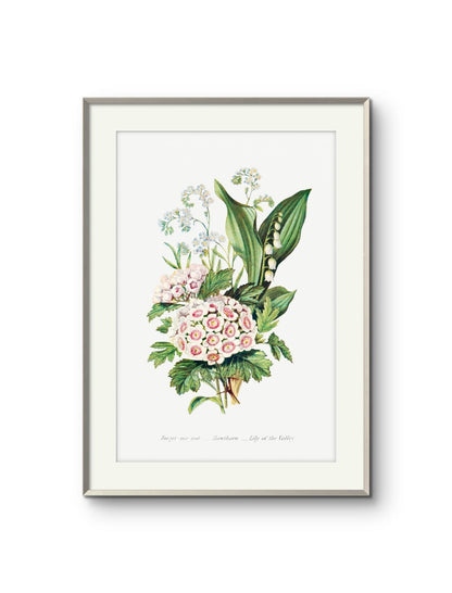Forget me not, Hawthorn & Lily of the Valley- Ernst Haeckel