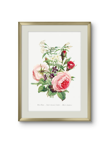 Moss Rose, Sweet Scented Violet & White Jasmine