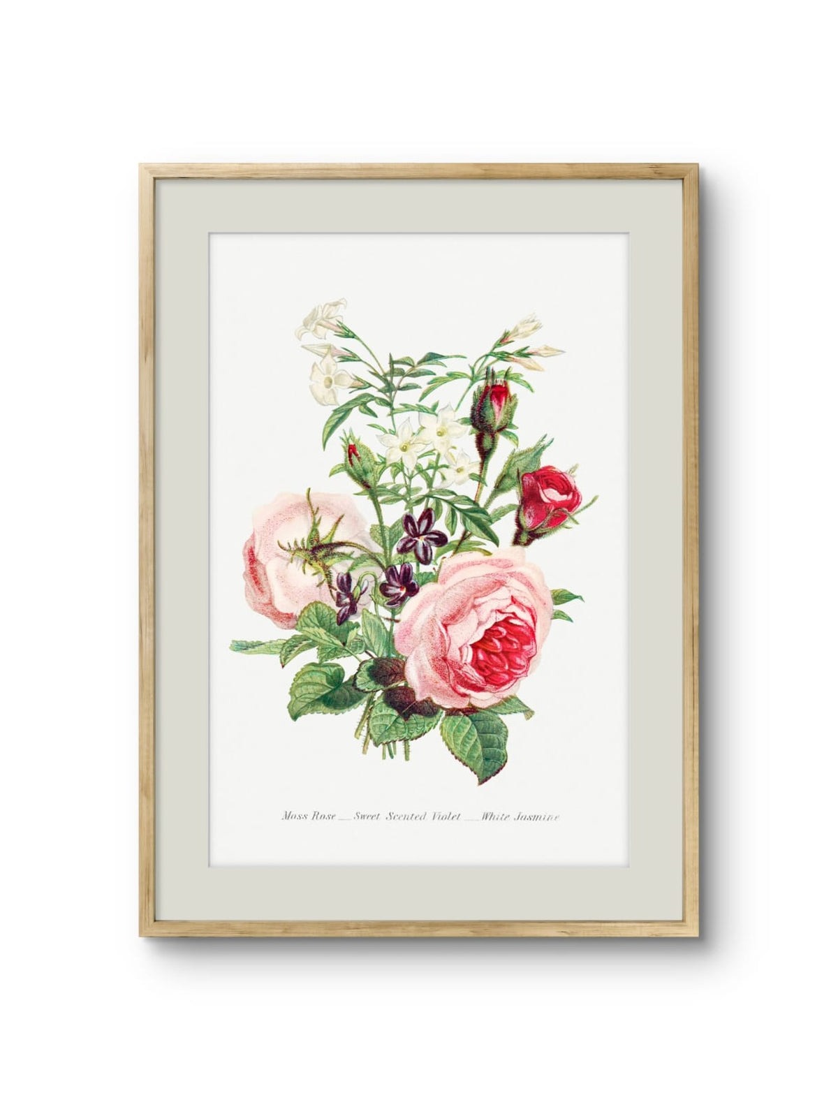 Moss Rose, Sweet Scented Violet & White Jasmine
