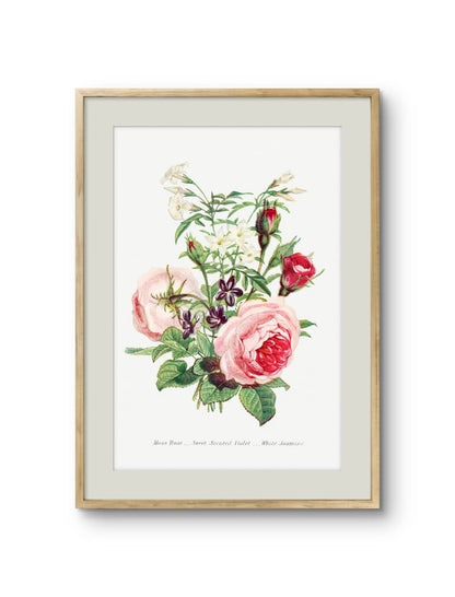 Moss Rose, Sweet Scented Violet & White Jasmine