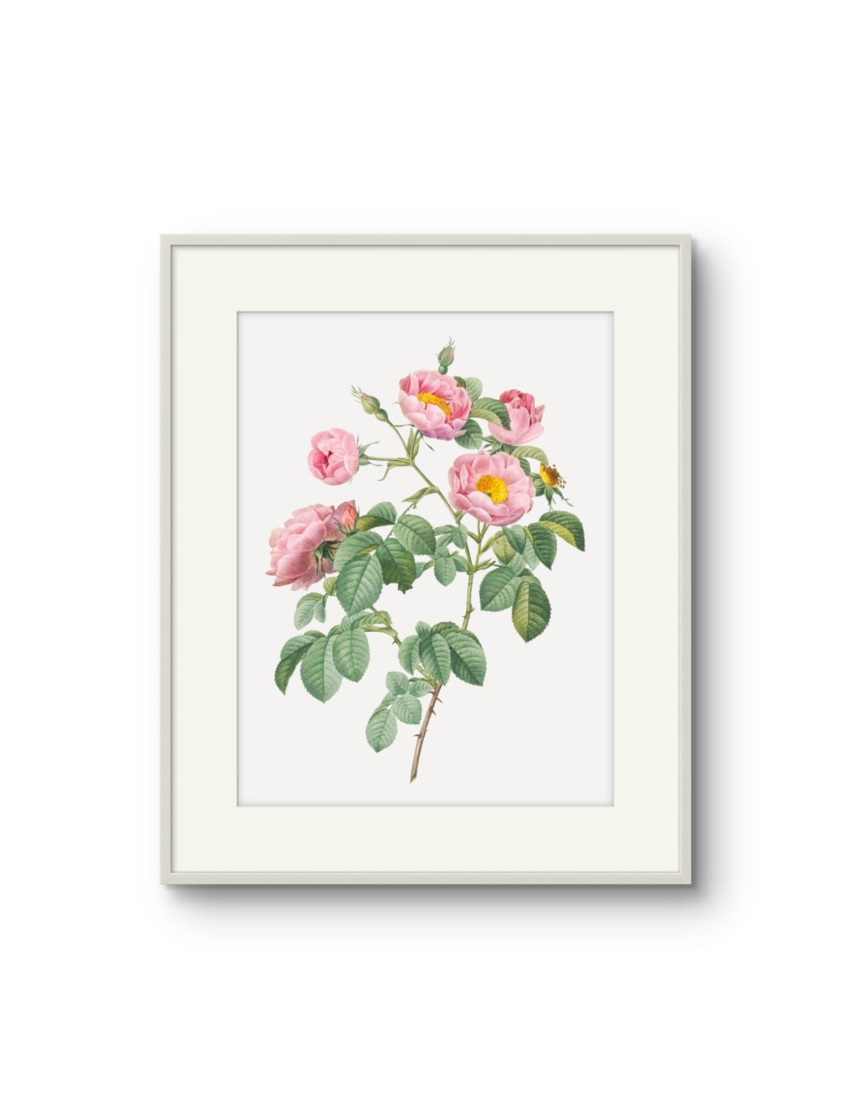 Vintage English Roses