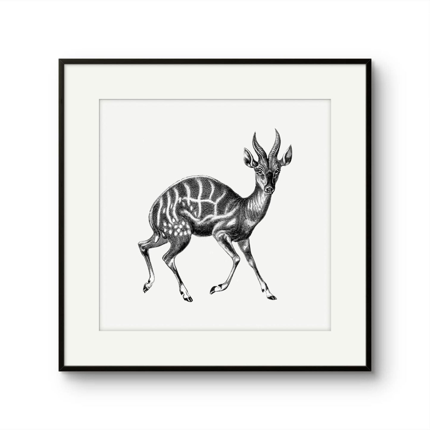 Vintage Gazelle