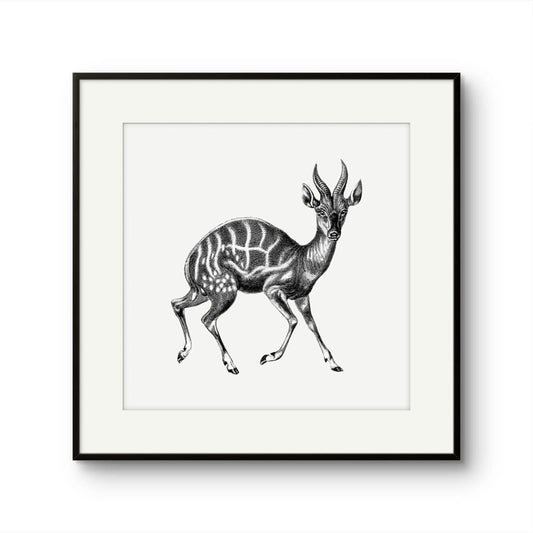 Vintage Gazelle