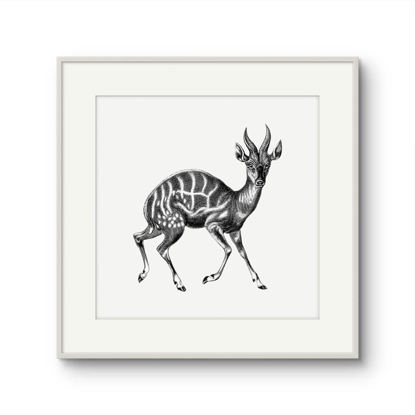 Vintage Gazelle