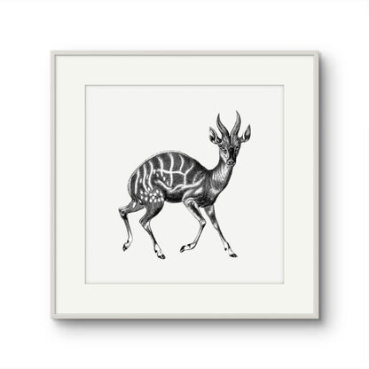 Vintage Gazelle