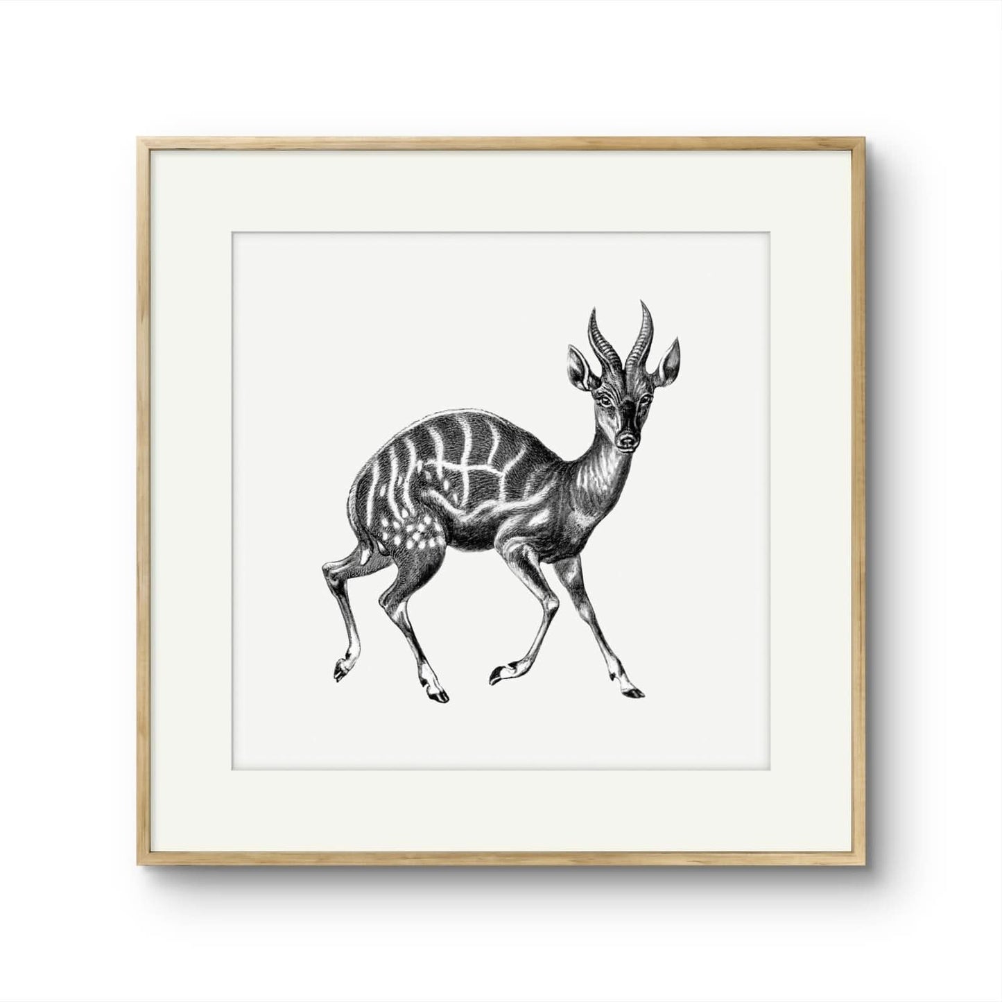 Vintage Gazelle
