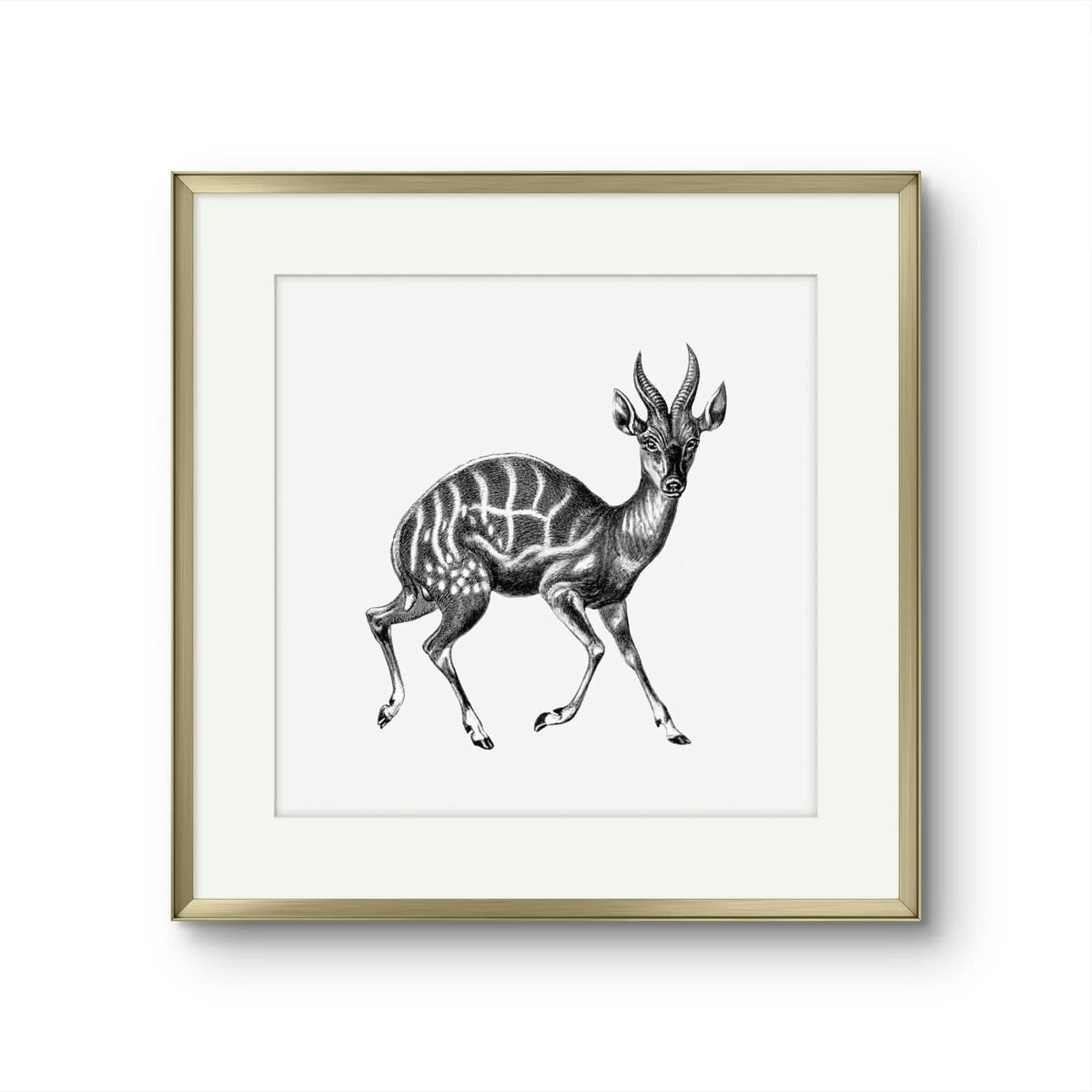 Vintage Gazelle