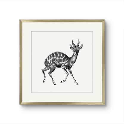 Vintage Gazelle