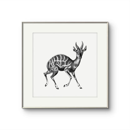 Vintage Gazelle