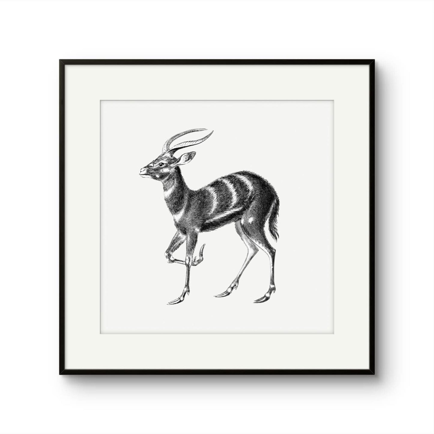 Vintage Stag