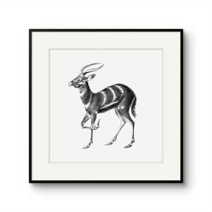 Vintage Stag