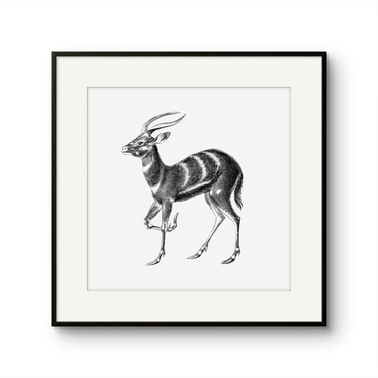 Vintage Stag